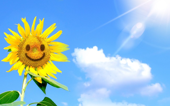 500503205.jpg 500503205.jpg