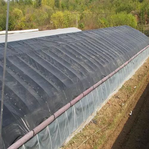 微信图片_20180413161900.jpg 微信图片_20180413161900.jpg